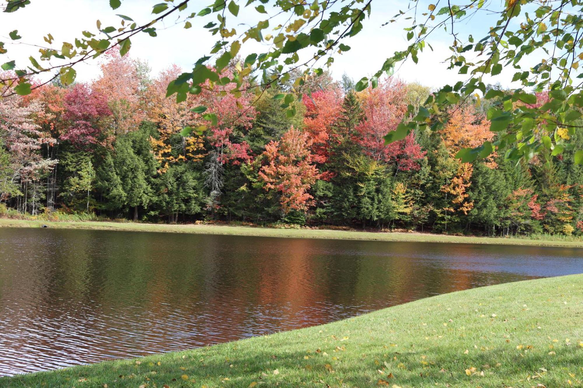 Deerfield Valley Inn - Mt Snow Dover ภายนอก รูปภาพ